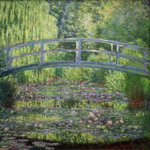 Claude Monet Jigsaw Puzzle Collection: Water lilies