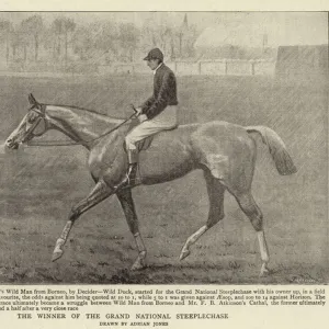 The Winner of the Grand National Steeplechase (litho)