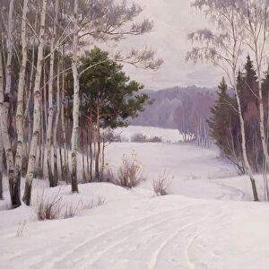 Woodland Trail in Winter