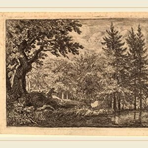 Allart van Everdingen (Dutch, 1621-1675), Fir Trees at the Water, probably c. 1645-1656
