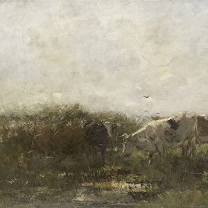 Cows, Willem Maris, 1880 - 1904