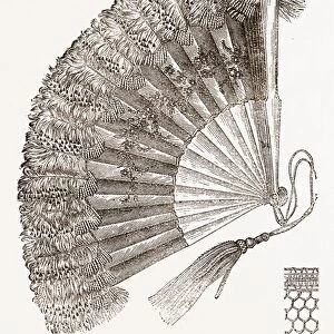 Dress Fan, 19th Century
