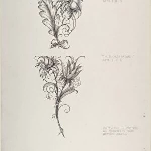 Floral Tailpiece Designs Duchess Malfi White Devil