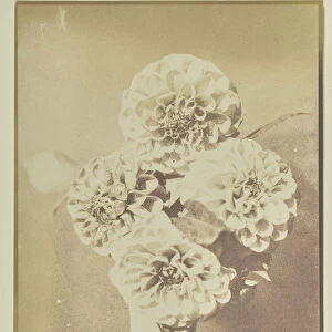 Flowers Vase Hippolyte Bayard French 1801 1887