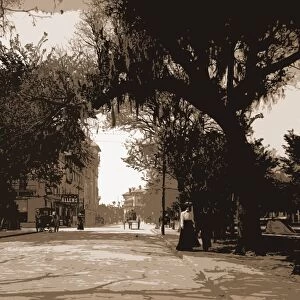 King Street, St. Augustine, Jackson, William Henry, 1843-1942, Streets, United States