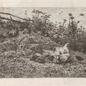 Le Poule et ses Poussins ca 1860 Etching laid paper