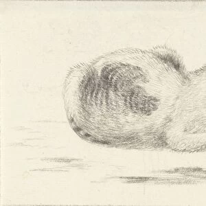 Lying cat right cat Jean Bernard 1775 1833 paper