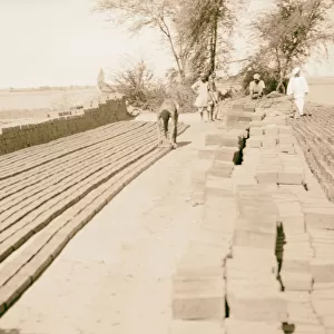 Sudan Khartoum Shambat village mud bricks 1936