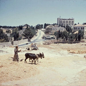 Threshing floor Jerusalem Sheik Jerrah Quarter