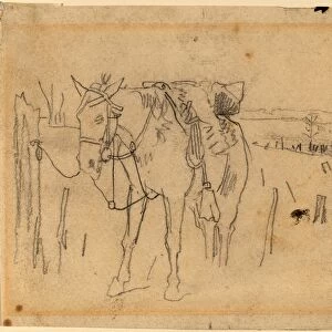 Winslow Homer, Tethered, American, 1836 - 1910, 1862-1865, graphite on wove paper