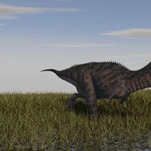 Alluring Majungasaurus in swamp grassland