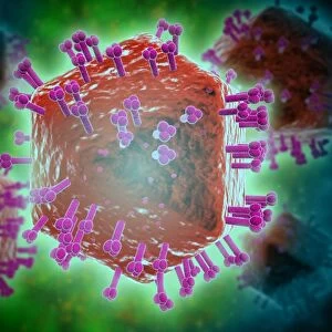 Conceptual image of HIV virus