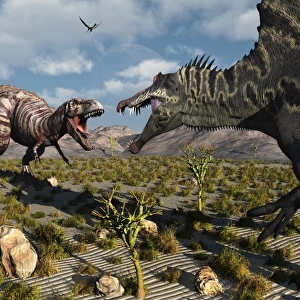 A confrontation between a T. Rex and a Spinosaurus dinosaur