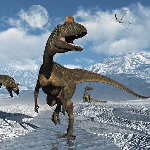 Cryolophosaurus dinosaurs roaming modern day Antarctica