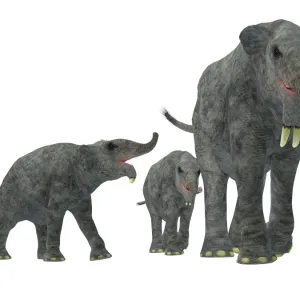 Deinotherium with offspring