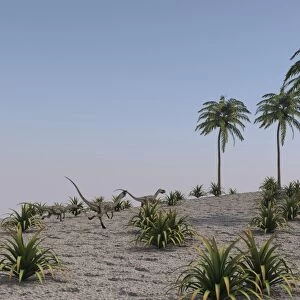 Einiosaurus grazing in a tropical climate
