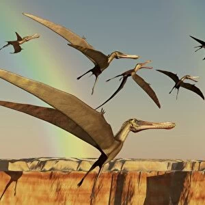 A flock of Pterodactyls fly out of a canyon
