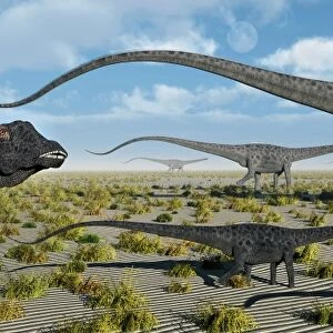 A herd of giant Diplodocus dinosaurs on the move