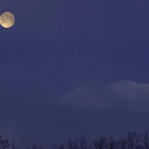 Moon at Dawn