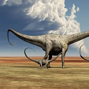 Mother Diplodocus dinosaur walks along with her brood of youngsters