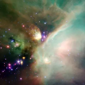 Newborn stars