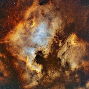 The North America Nebula and Pelican Nebula in Cygnus