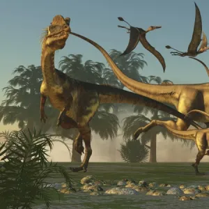 A pack of Dilophosaurus dinosaurs hunting for prey