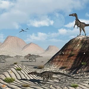 A pack of velociraptors stalking a herd of Protoceratops
