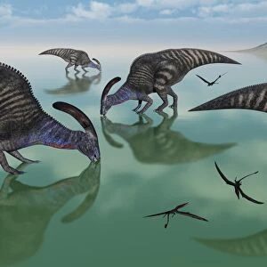 Parasaurolophus dinosaurs graze an organic rich lake