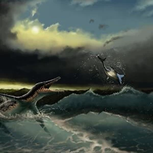 Pliosaurus irgisensis attacking a shark