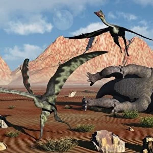 Quetzalcoatlus flee as a Tyrannosaurus Rex comes to claim its meal