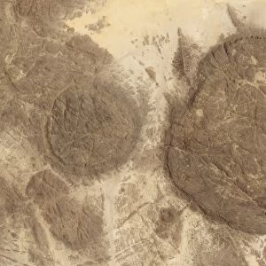 Satellite view showing round domes of the Air Mountains in the Sahara Desert
