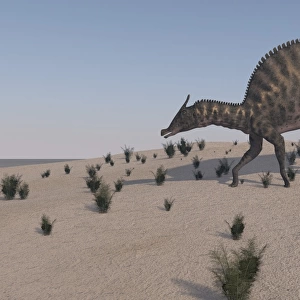 Saurolophus walking across a barren landscape
