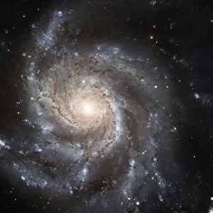 Spiral galaxy Messier 101