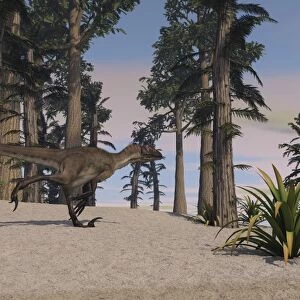 Utahraptor in a prehistoric environment