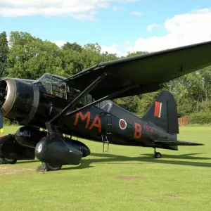 Westland Lysander warbird in World War II Royal Air Force colors