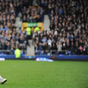 Premier League Collection: Everton v Bolton Wanderers