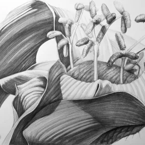 1x Gallery: Illustration