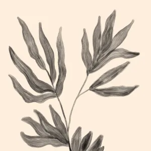 Minimalist artwork Collection: Monochrome paintings