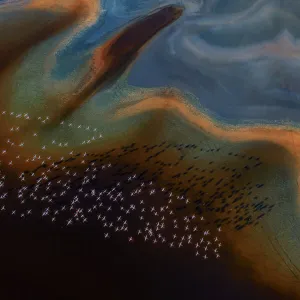 Lakes Collection: Lake Magadi