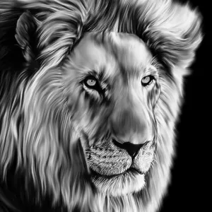 Realistic drawings Collection: Nature-inspired artwork