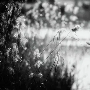 Lakes Mounted Art Print Collection: Related Images