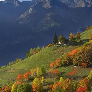 Autumn colours at Iserables above the Rhone Valley near Sion, la Valais, Switzerland