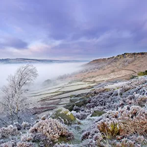 Curbar Edge at dawn, Peak District National Park, Derbyshire, England, UK, December