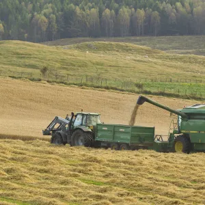 Harvesting barley crop in late summer, Scotland, UK