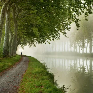 Heritage Sites Collection: Canal du Midi