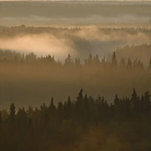 Landscape of the Virgin Komi Forests UNESCO World Heritage site at sunrise