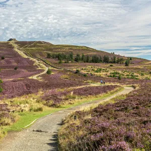 Offas Dyke path leading to the summit of Moel Famau in the Clwydian Mountain Range