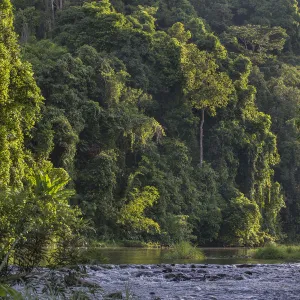 Rainforest and river outside the Batak village of Sitio Manggapin in Cleopatra s