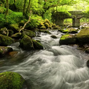 Shaugh Bridge in early spring, Shaugh Prior, near Plympton, Dartmoor National Park, Devon, UK